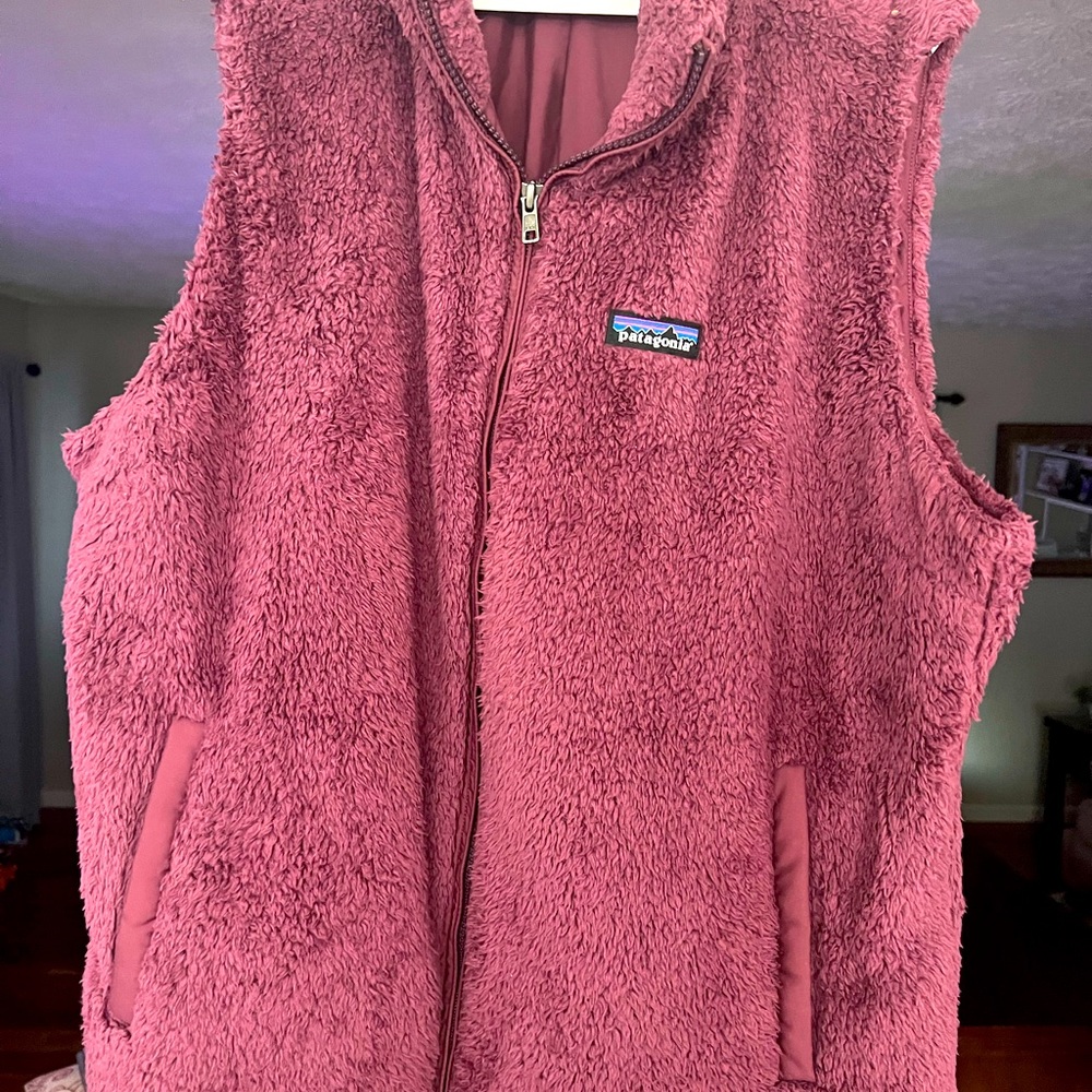 Patagonia fleece vest